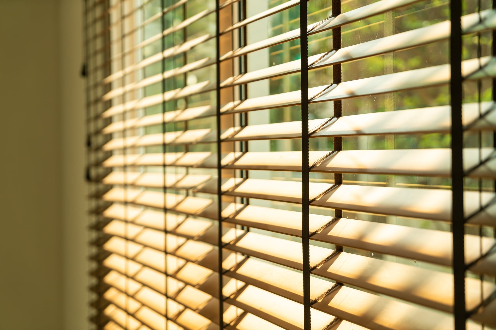 Wood colour blinds with sunlight